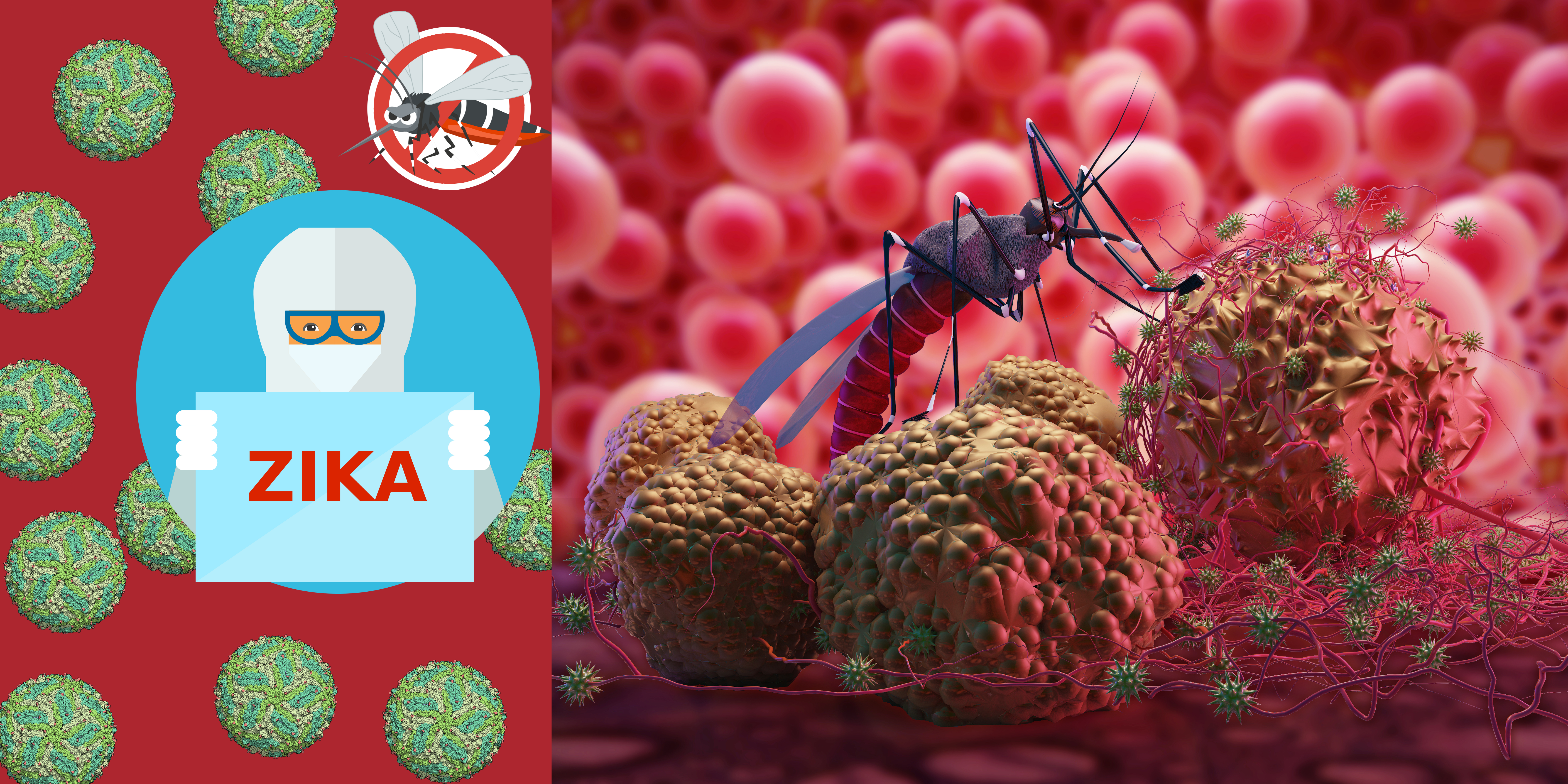 Zika Virus