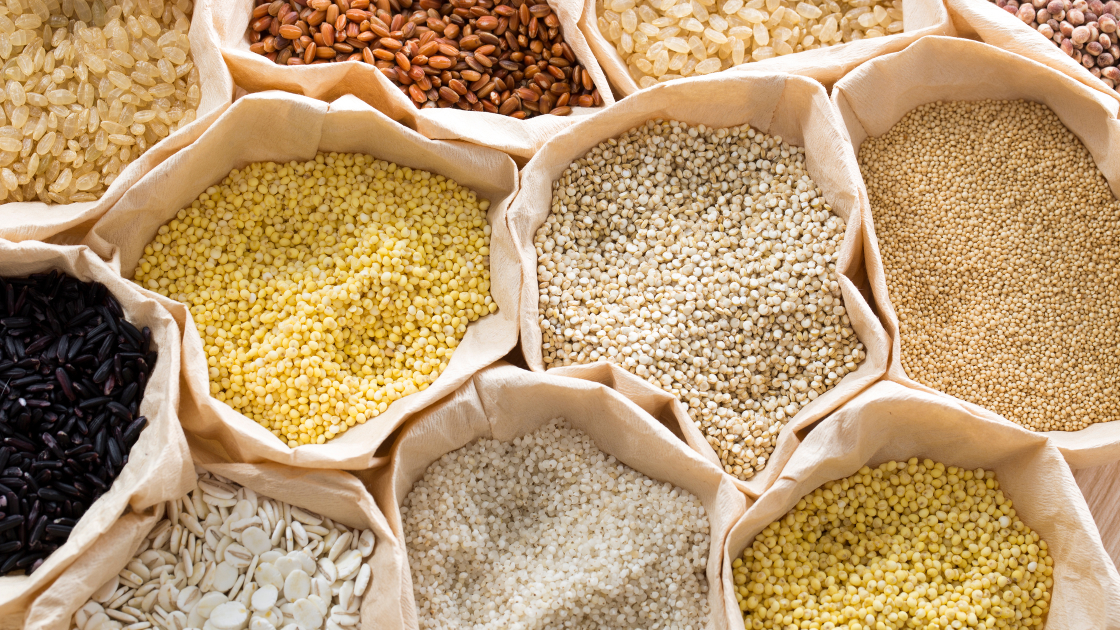 Nutritional Benefits and Versatility of Millet Food