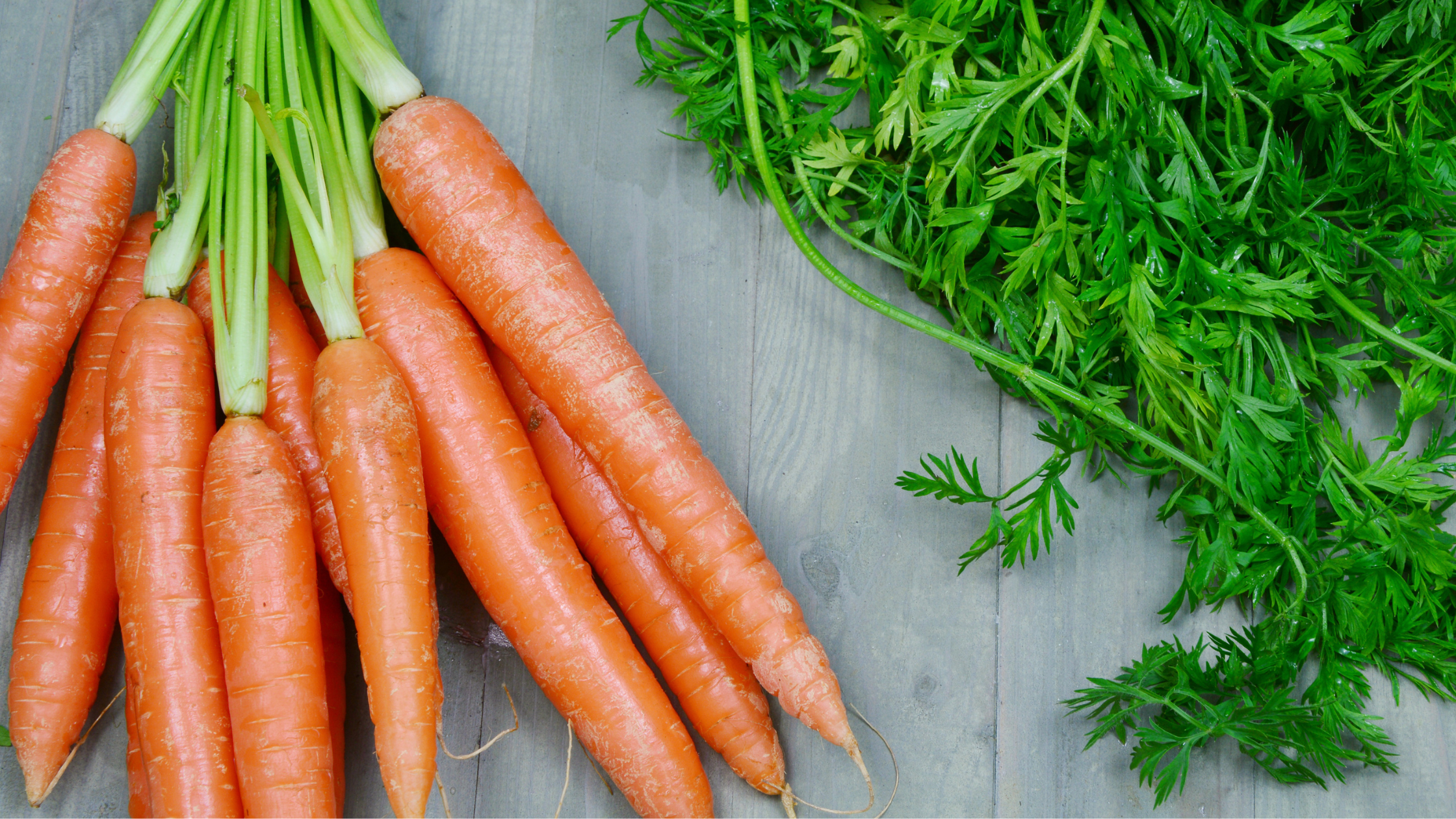 Nutritional Benefits of Carrots and High-Protein Meal Recipe